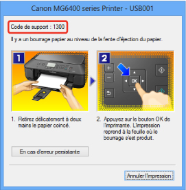 figure : Message d'erreur dans Windows